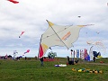RIMG0817