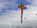 RIMG0820