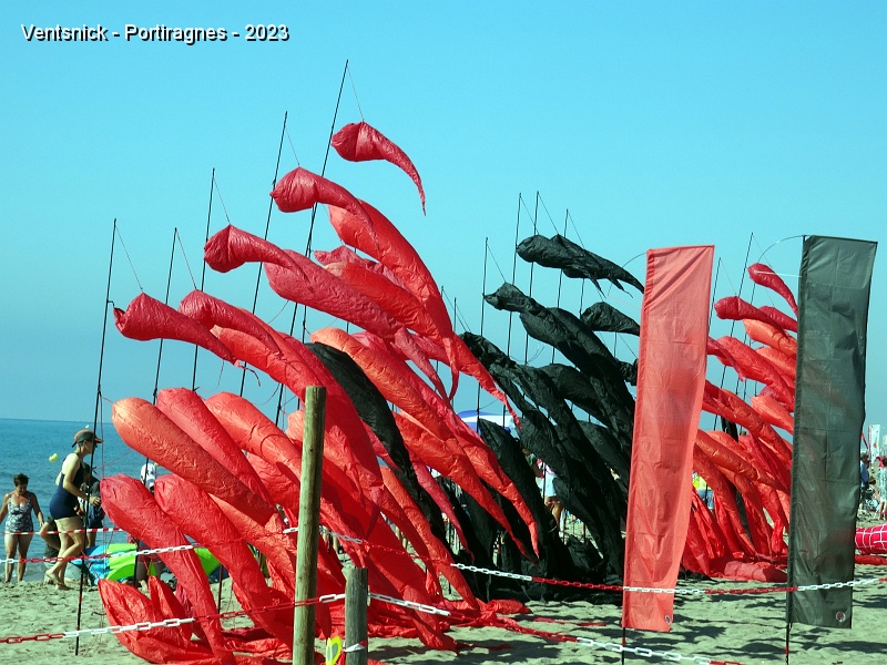 DSC02887.JPG - Sylvie et Antonio Lino ont installé leur "mur" de piments, ...