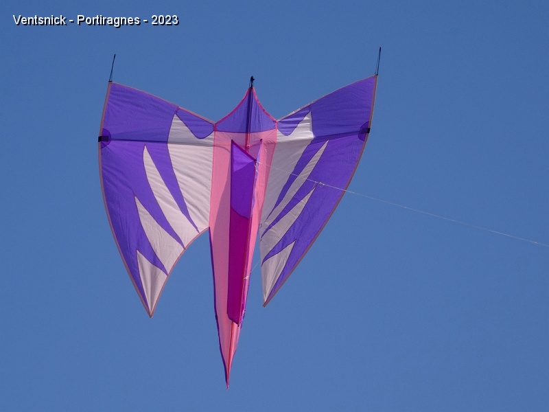 DSC02894.JPG - ... Michel Prévent décorent le ciel.