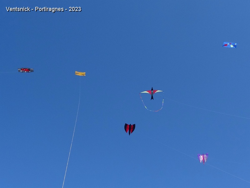 DSC02902.JPG - Des cerfs-volants de toutes formes et couleurs décorent le ciel, ...