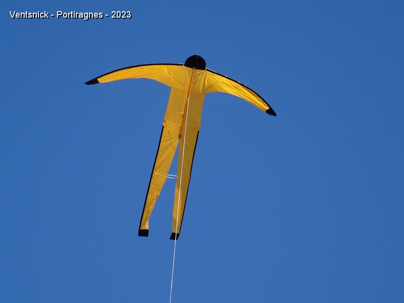 DSC02908.JPG - Notre bonhomme Folon est de sortie, ...