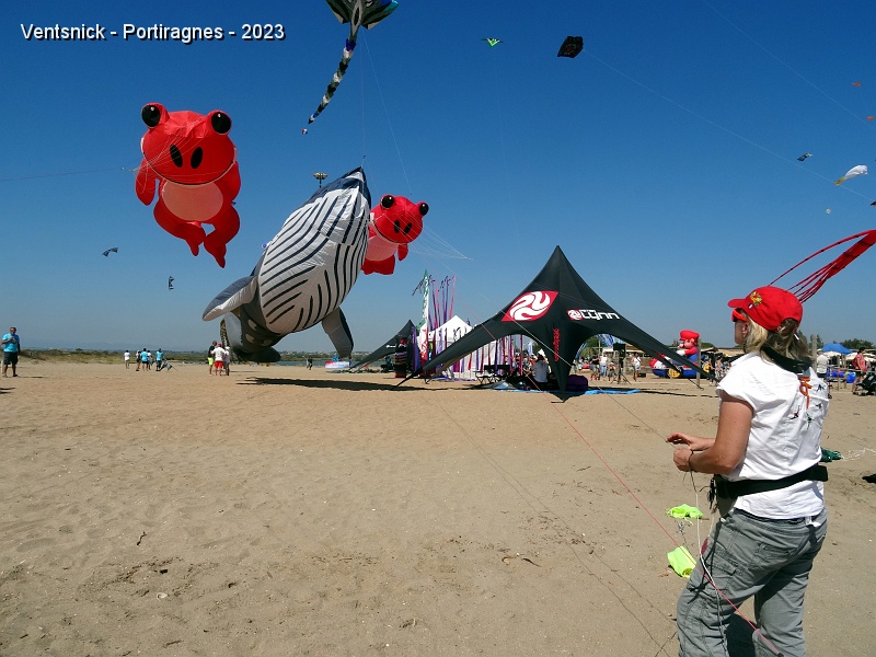 DSC02938.JPG - ... Séverine (Free Vola) est au bas d'une ligne qui supporte une grossse baleine ...