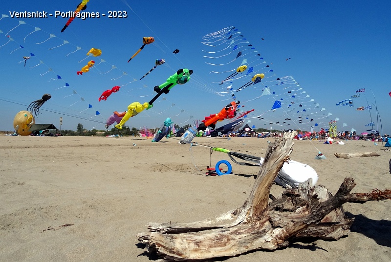 DSC02948.JPG - ... un ensemble haut en couleurs.