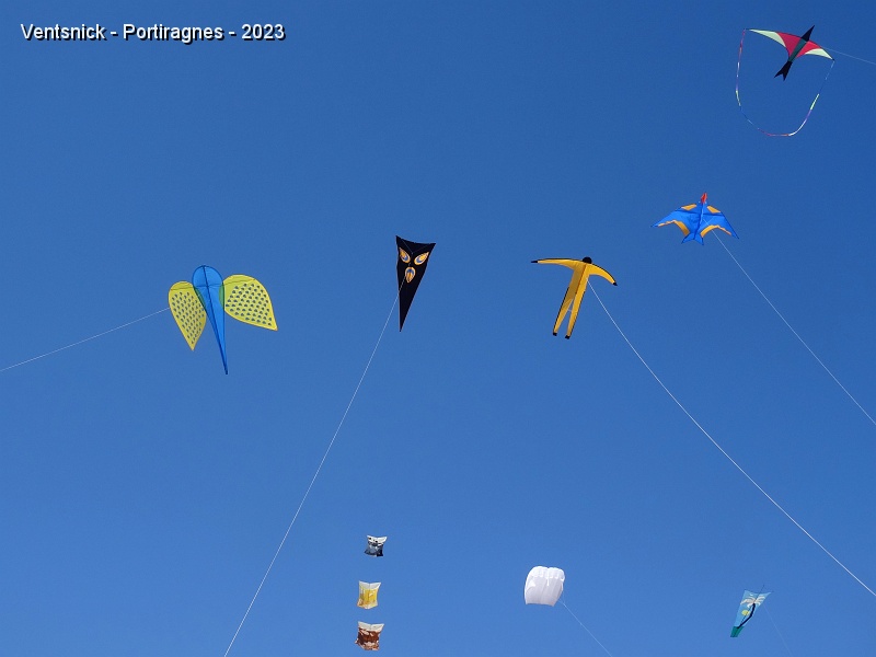 DSC02950.JPG - Du côté des cerfs-volants de taille modeste, le festival de couleurs continue !