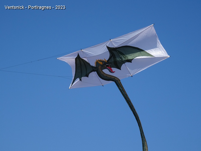 DSC02963.JPG - ... lance son atypique Poster Kite.
