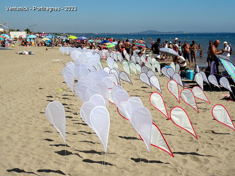 DSC02987.JPG - ... leurs plumes colonisent le terrain, ...