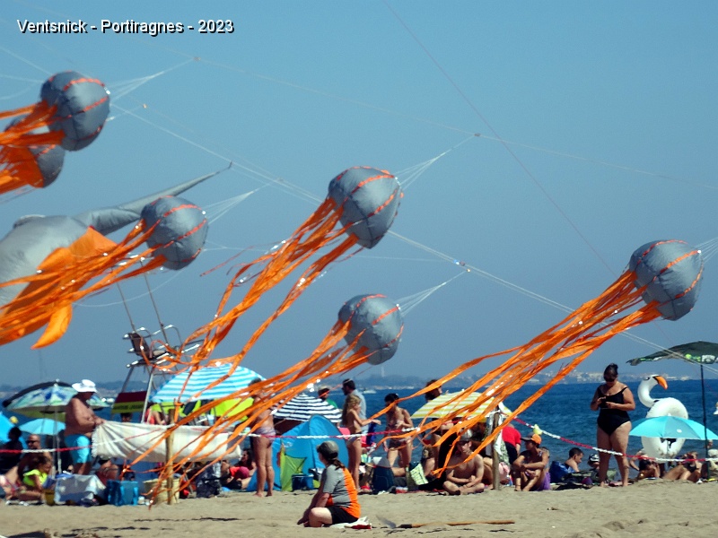 DSC02990.JPG - ... scintillent sous le soleil ! ...