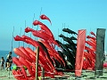 DSC02887