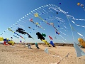 DSC02940