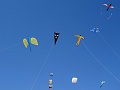 DSC02950