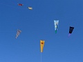 DSC02972