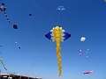 DSC02981