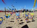 DSC02982