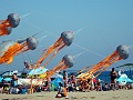 DSC02990
