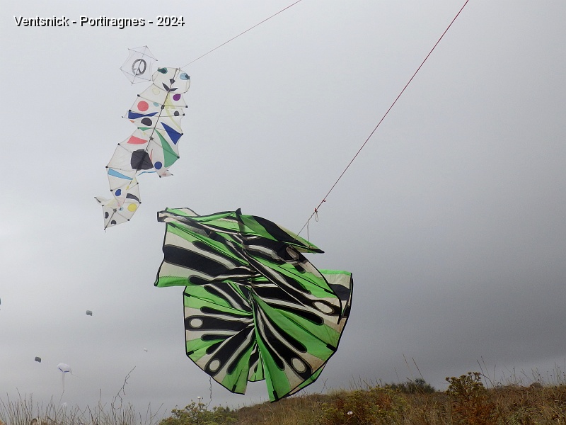 RIMG0961.JPG - ... il sort également ces cerfs-volants "Kinetic" qui ondulent dans le vent.