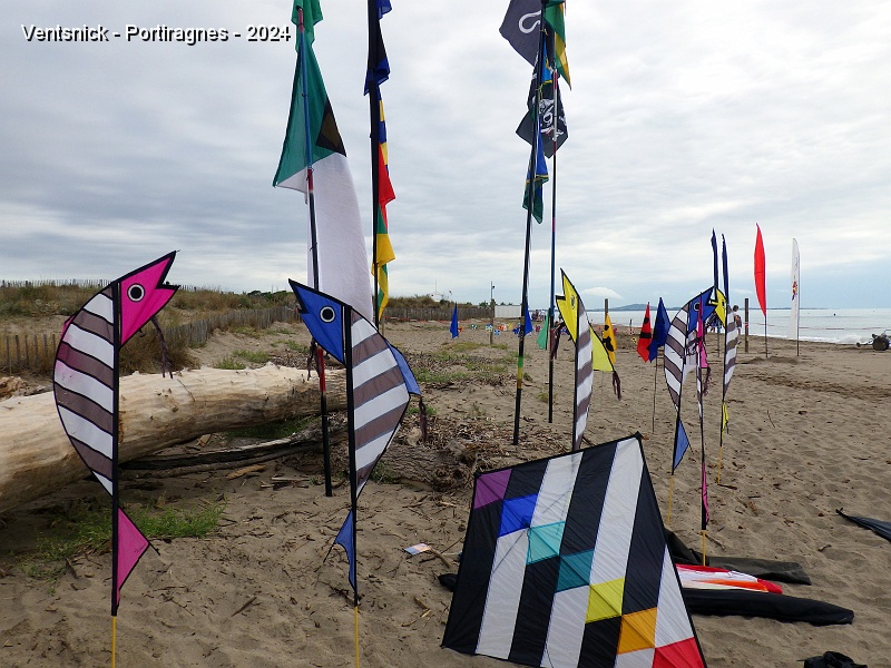 RIMG1006.JPG - ... pour les Ailes d'Audenge ce sont des poissons qui décorent les sable.