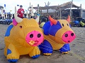 RIMG0910