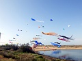 RIMG0919