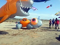 RIMG0928