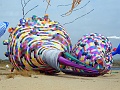 RIMG0938
