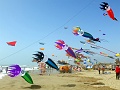 RIMG0948