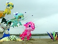 RIMG0958