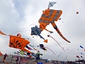 RIMG0970