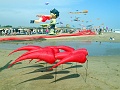 RIMG0980