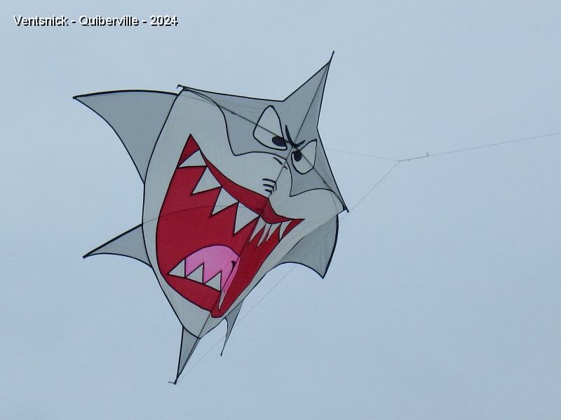RIMG0409.JPG - Requin menaçant de Sylvain Bourgeaux.