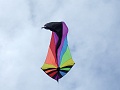 RIMG0390