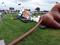 P1310336