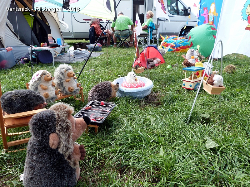 P1310476.jpg - ... sont en place ...