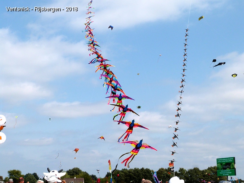 P1310481.jpg - ... Sky Flyers.
