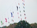 P1310304