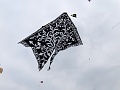 P1310338