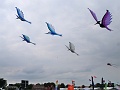 P1310360
