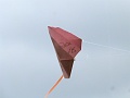P1310461
