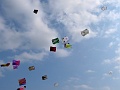 P1310538