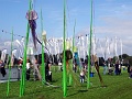DSC02945