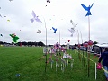 DSC02726