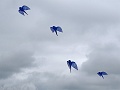 DSC02886