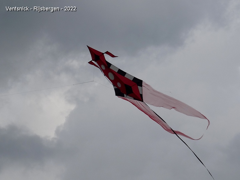 DSC09991.JPG - ... ici un cerf-volant qui ressemble étrangement à un Astral Glide renversé !
