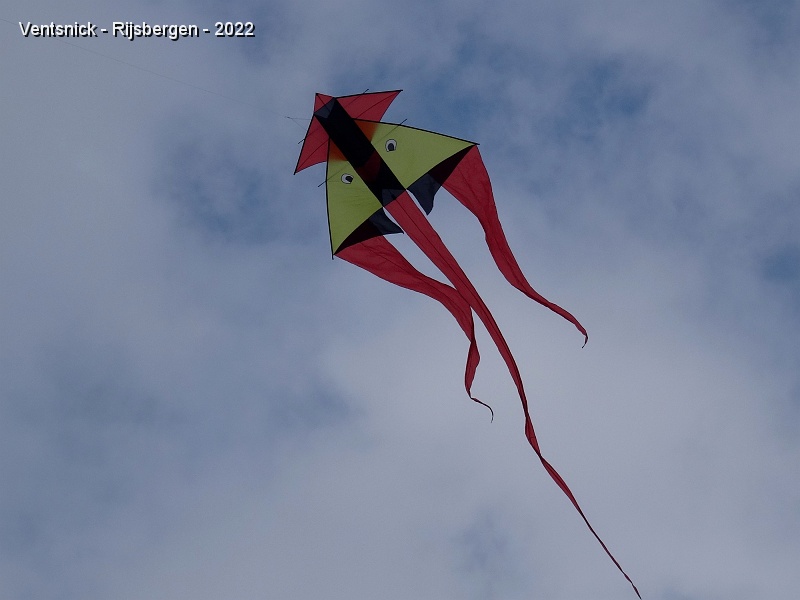 DSC09993.JPG - ... et ici un autre cerf-volant qui semble cloué dans le ciel tant sa stabilité est surprenante !