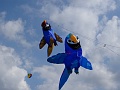 DSC00039