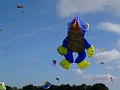 DSC00110