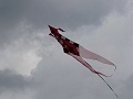 DSC09991