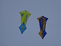 DSC09997