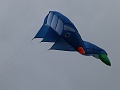 P1080424