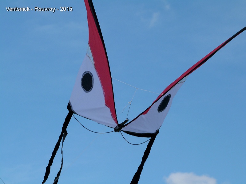 P1140187.JPG - ... le papillon de ...